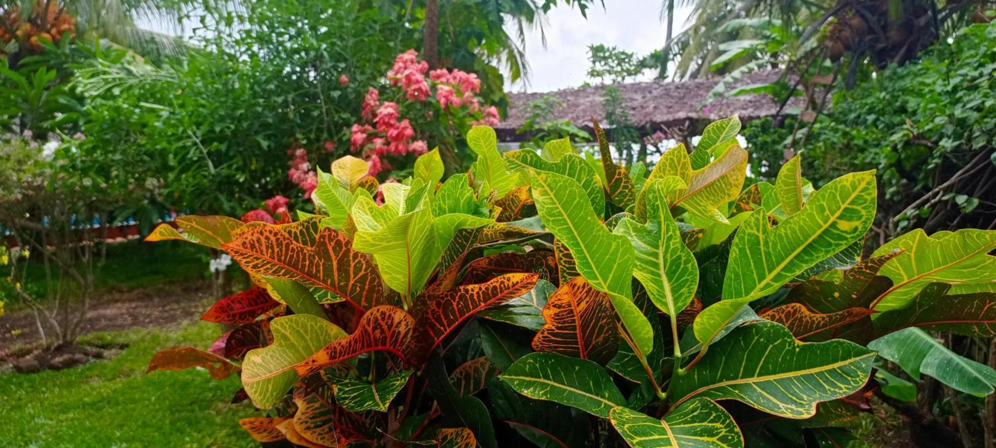 Piscine Bimoko Hotel Nosy-Be Ngoại thất bức ảnh